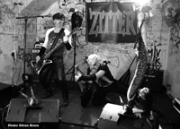 Zitter Live